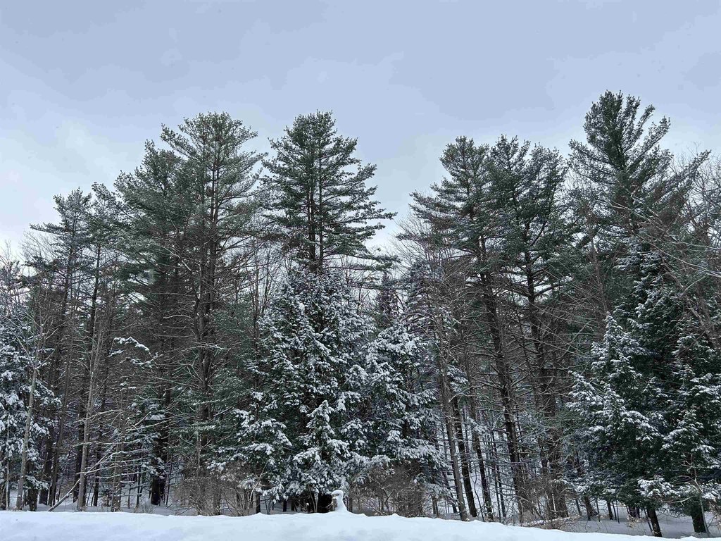 Picture 19