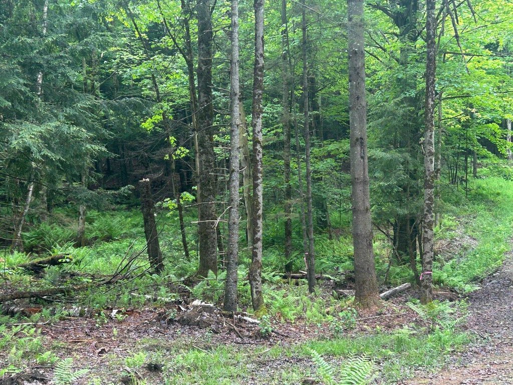 Picture 6
