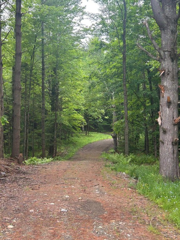 Picture 16