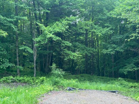 Private Wooded Homesite Land