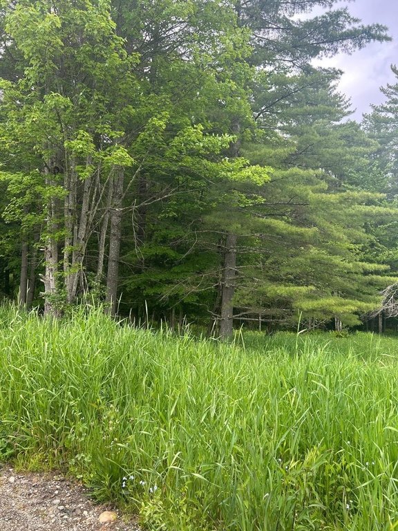 Picture 19