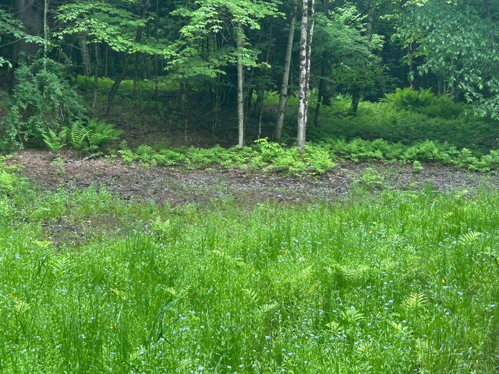 Picture 11
