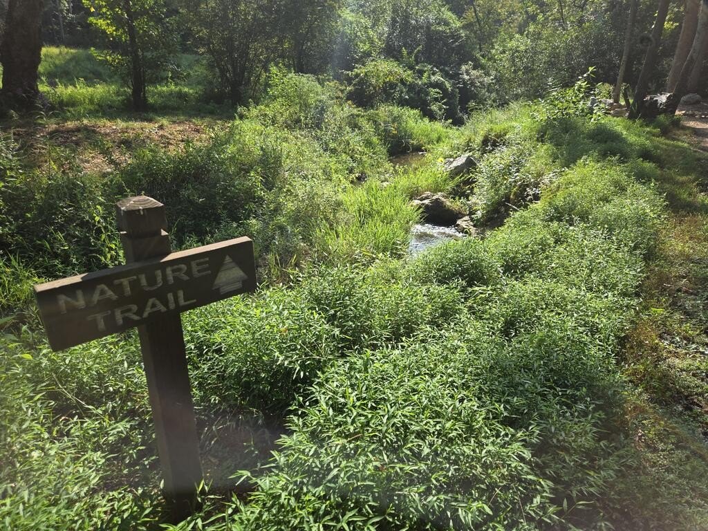 Picture 46