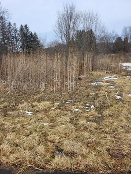 Residential Land in Horseheads, NY