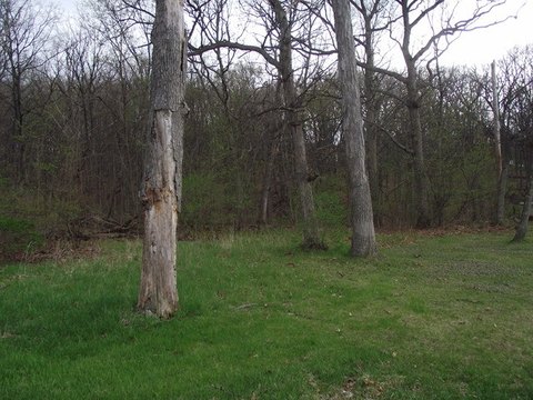 Residential Land in St. Charles