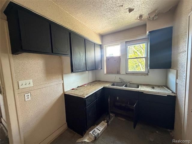 Picture 25