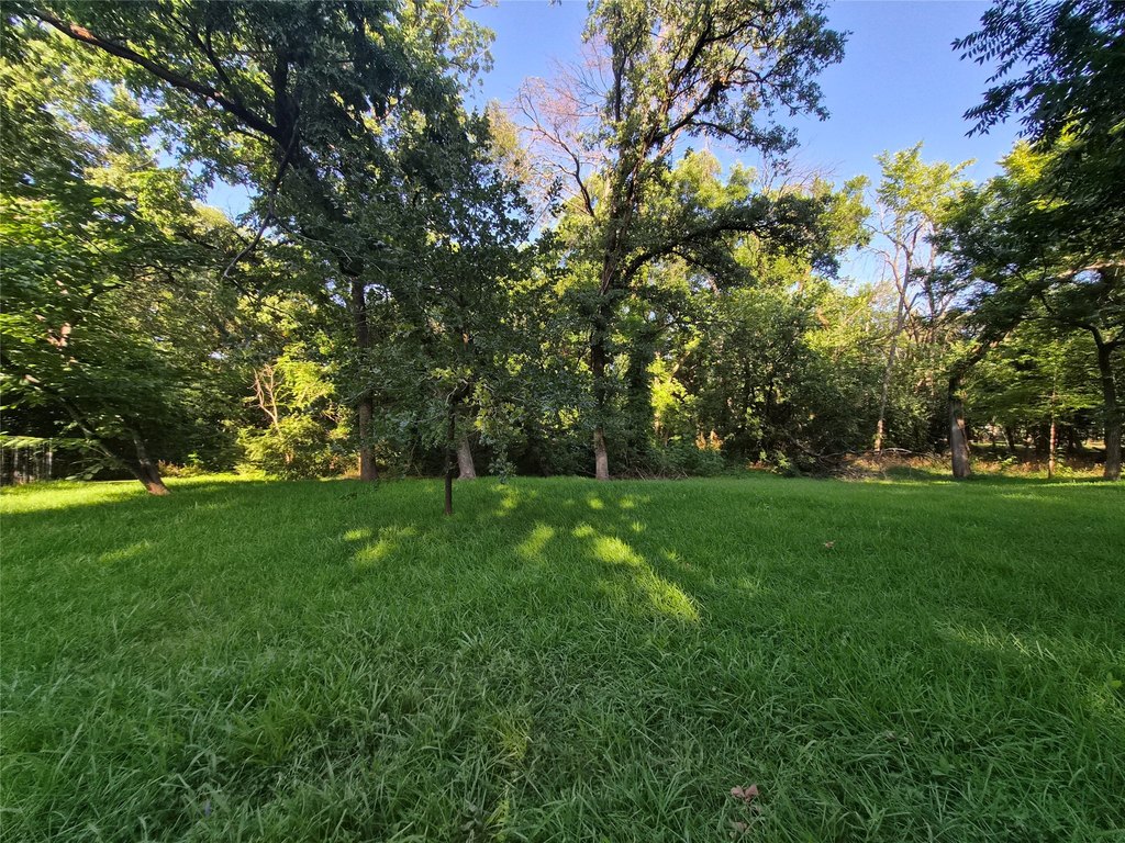 Picture 5