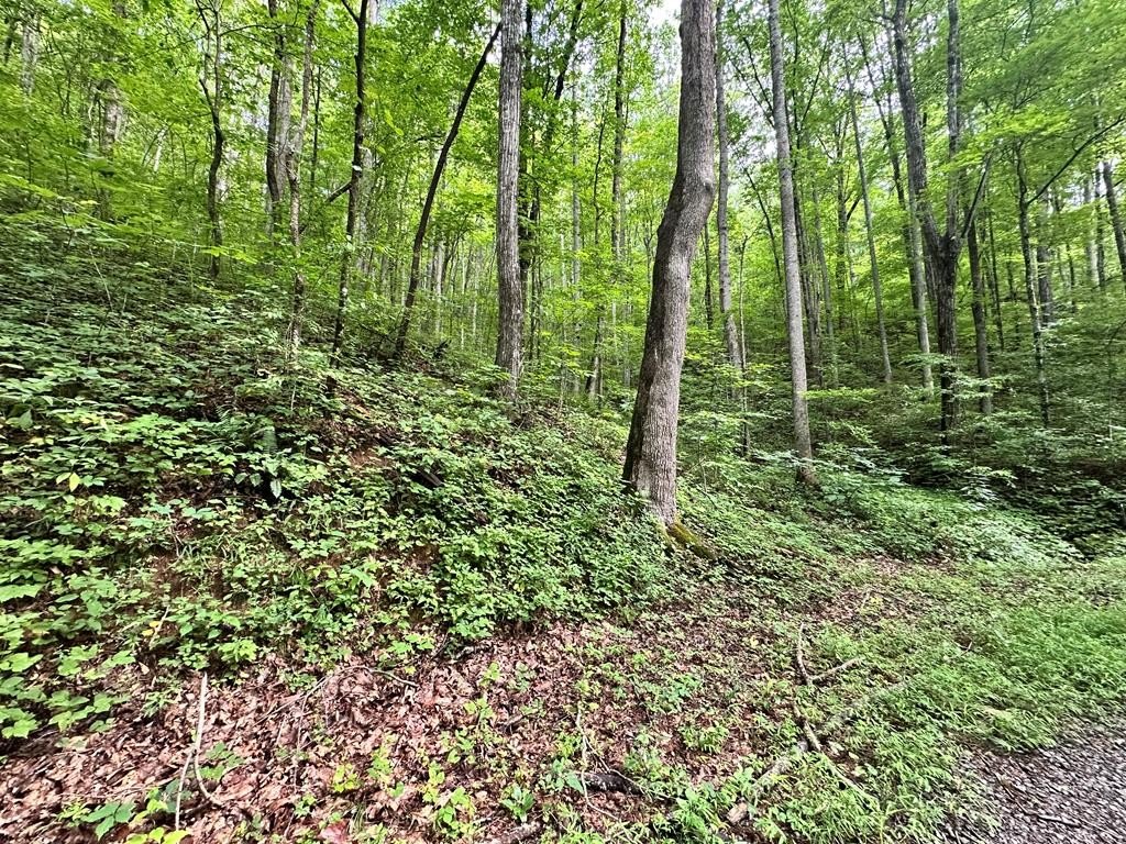 Hayesville, NC Vacant Lot