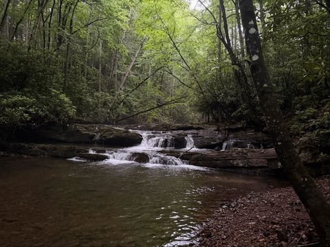 Land, Bastian, VA