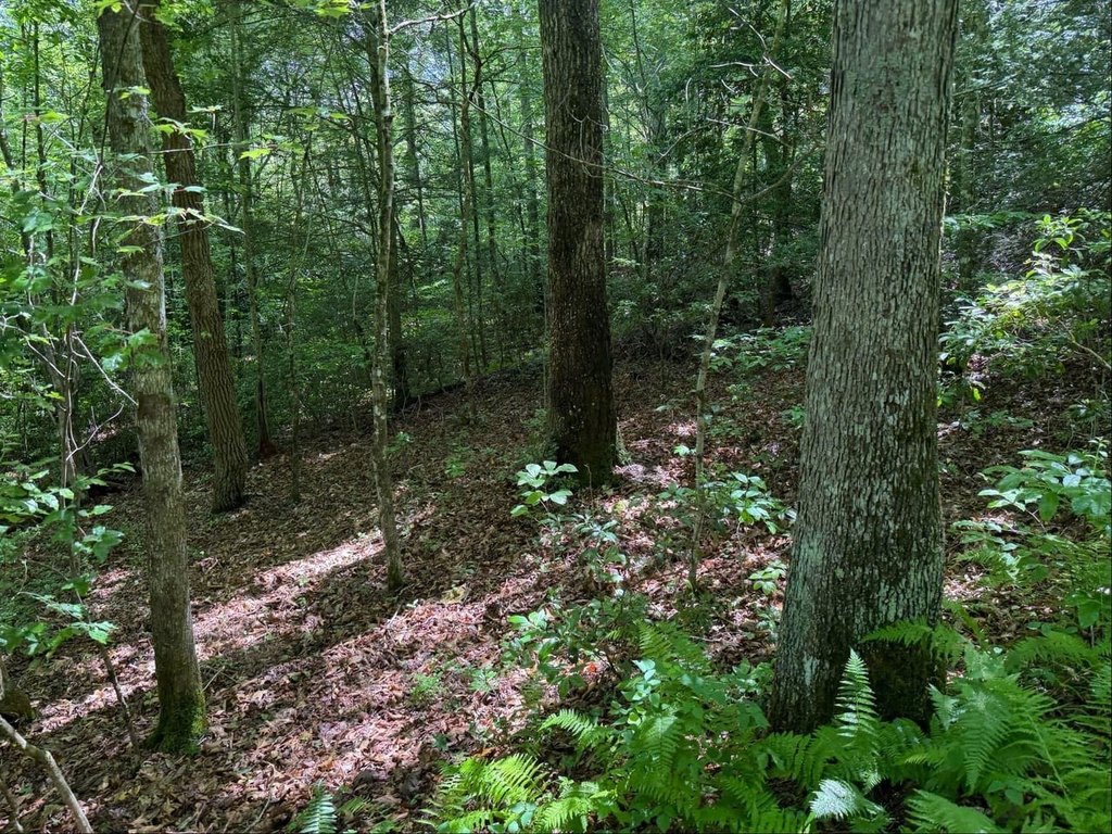 Picture 26