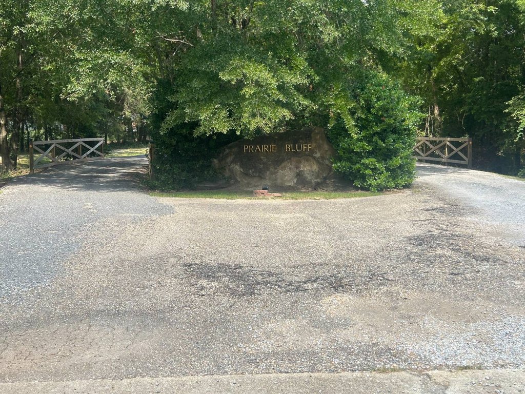 Picture 48