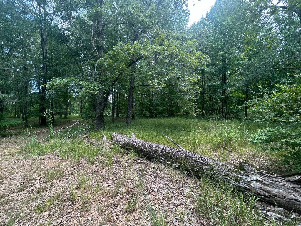Picture 14