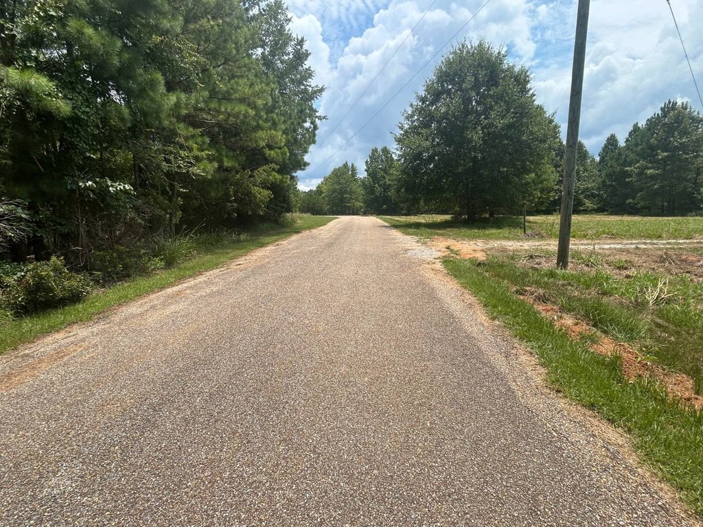 Picture 28