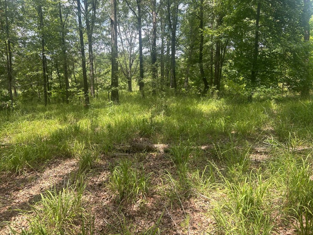 Picture 23
