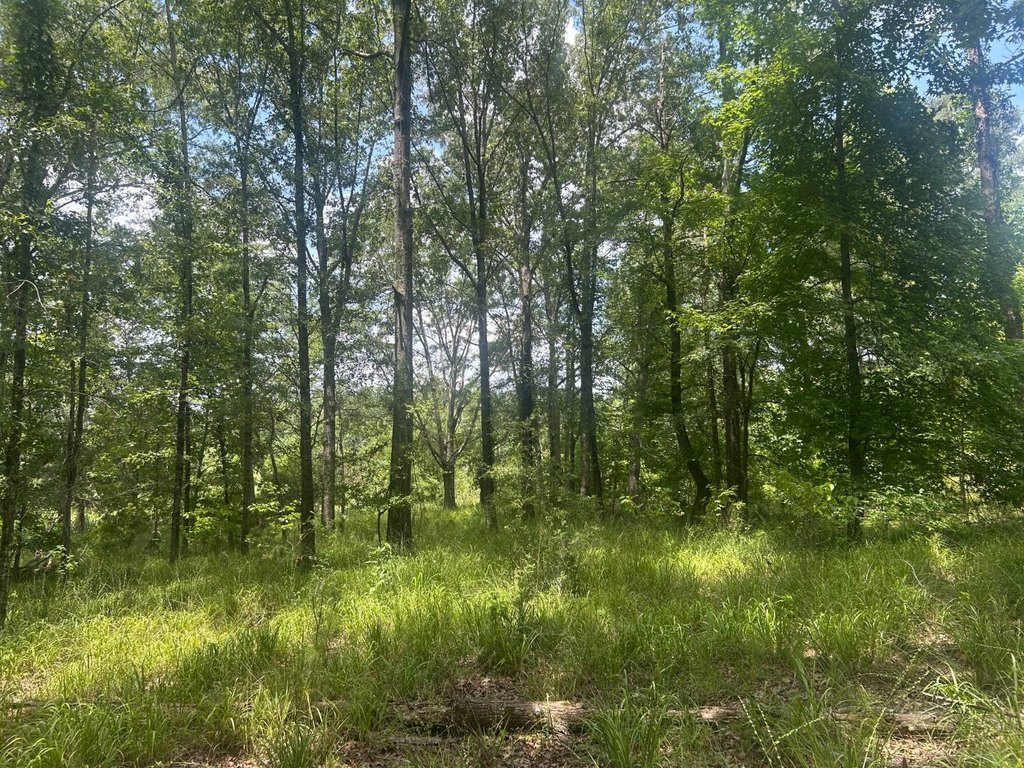 Picture 24