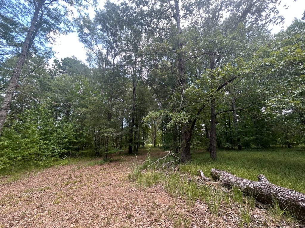 Picture 15