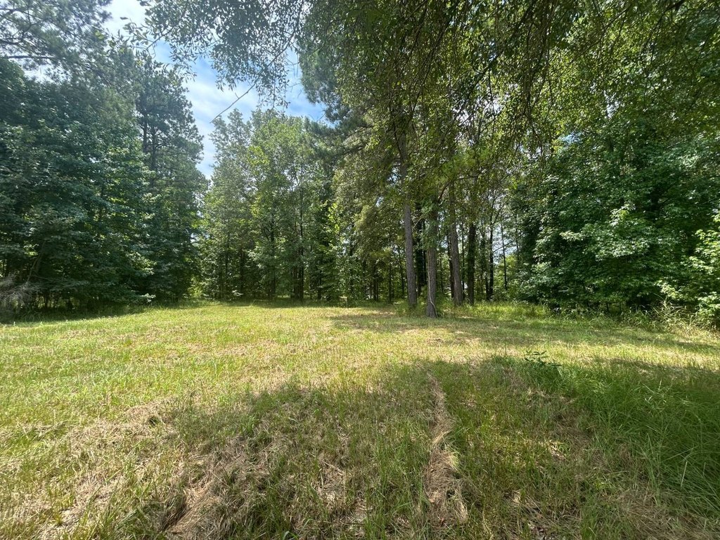 Picture 25