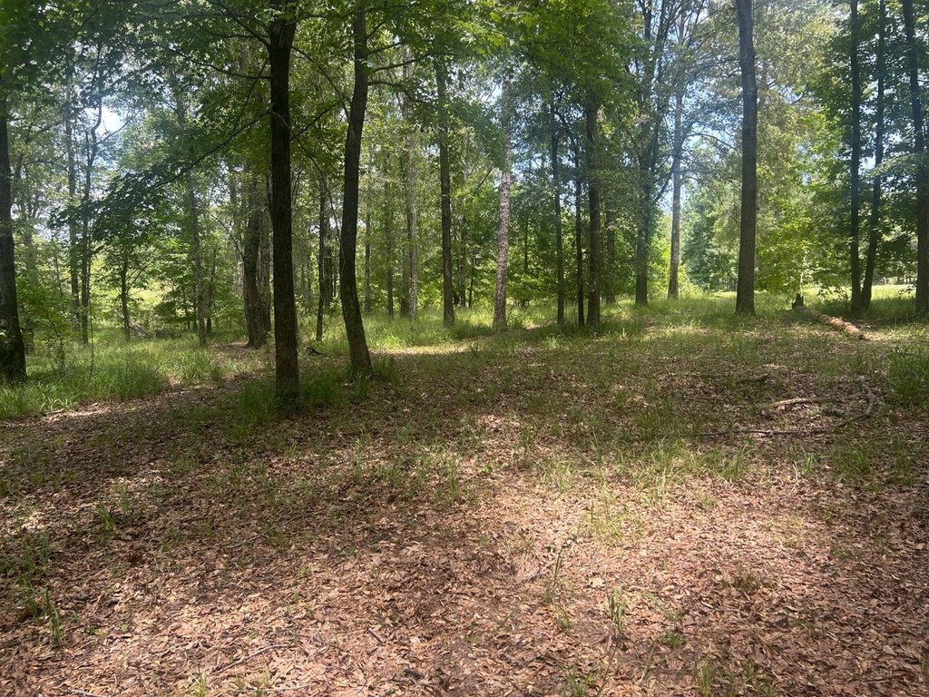 Picture 19