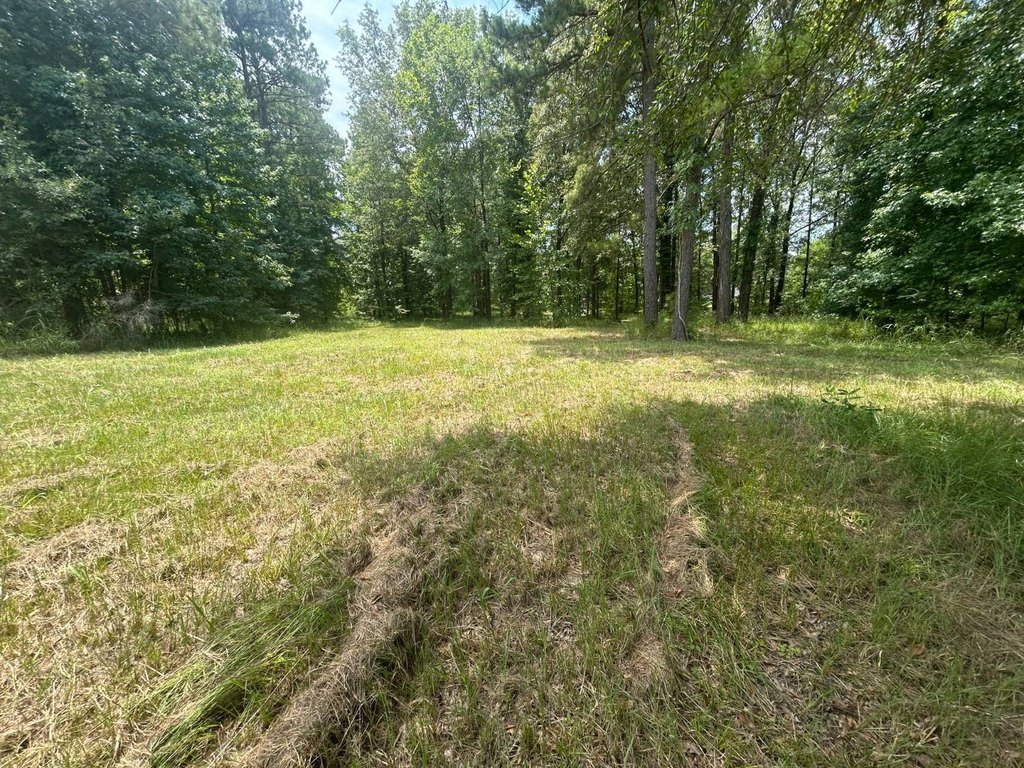 Picture 6