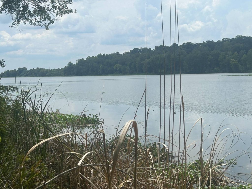 Picture 36