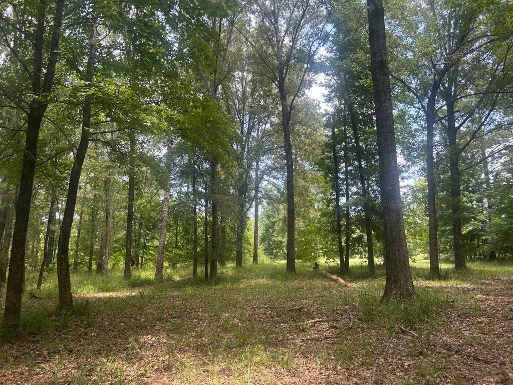 Picture 18