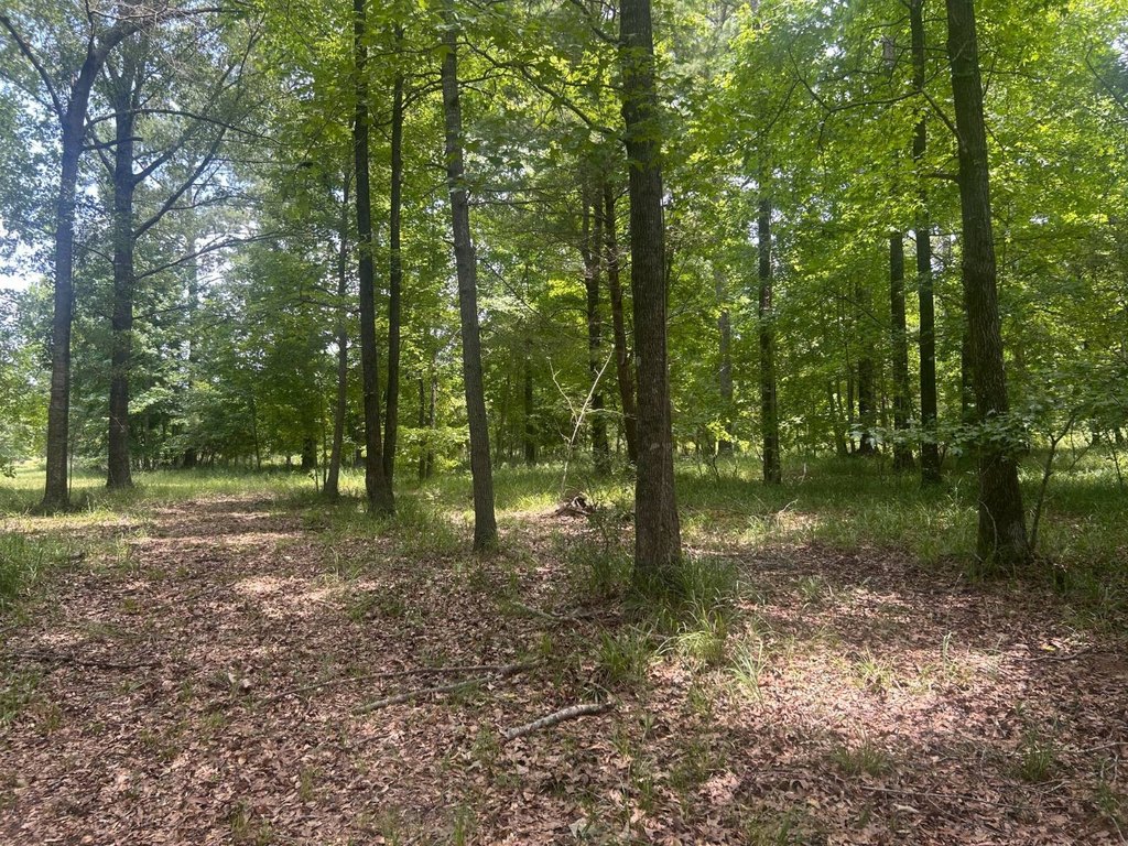 Picture 17