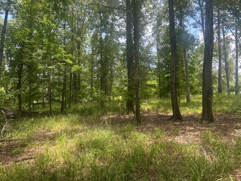 Picture 20
