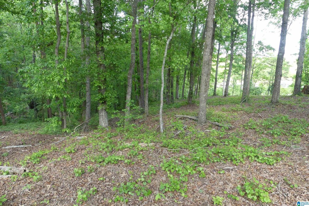 Picture 11