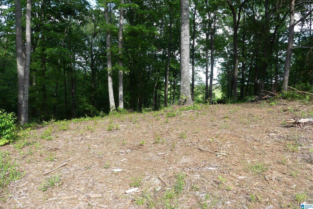 Picture 12