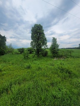 Prime Lot in Neillsville, WI