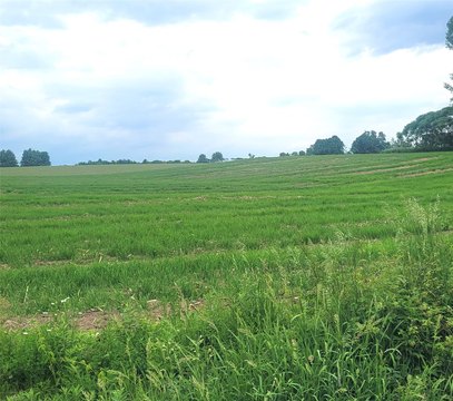 Prime Lot in Neillsville, WI