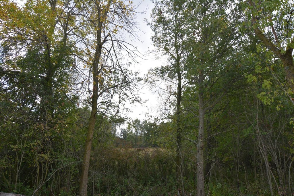 Picture 6