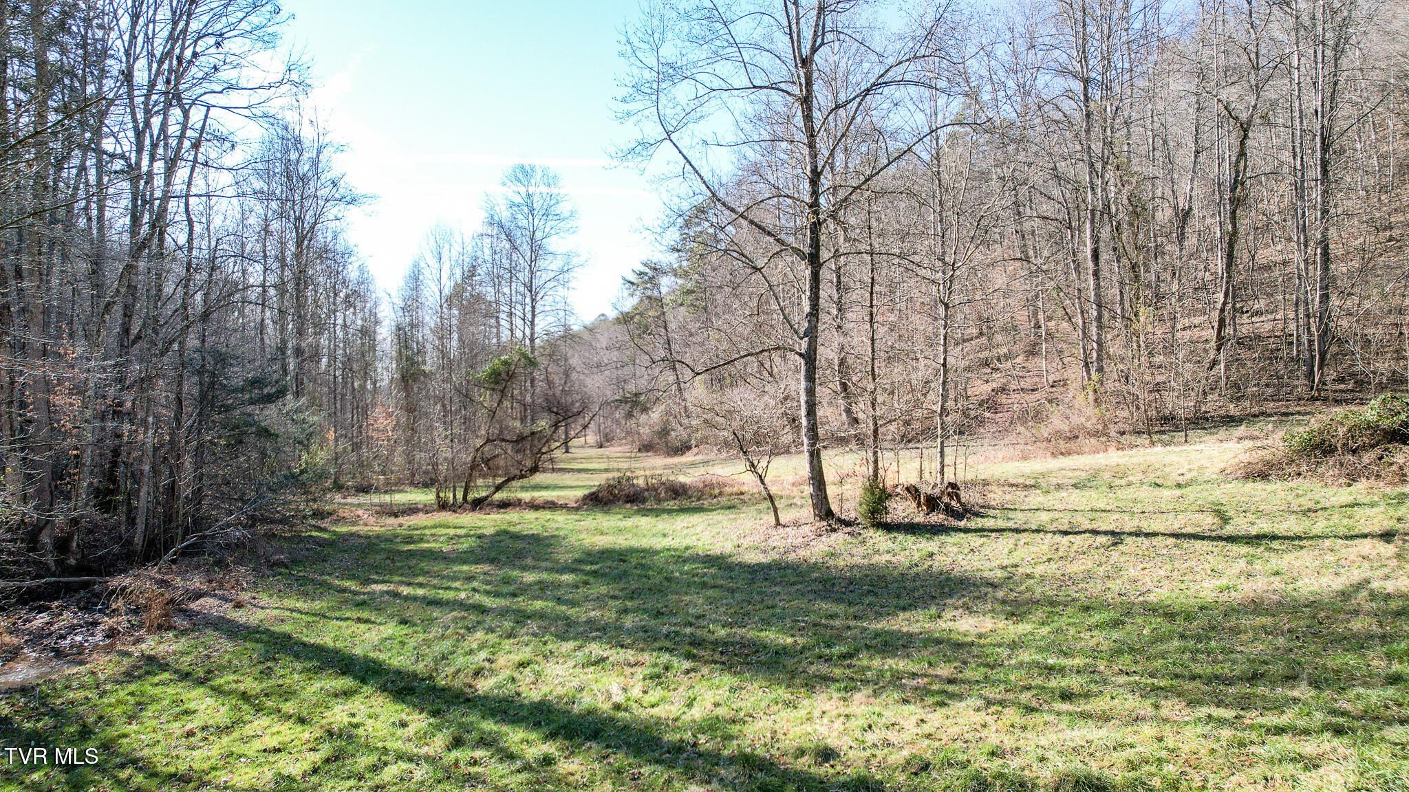 Rogersville Land with Creek Frontage