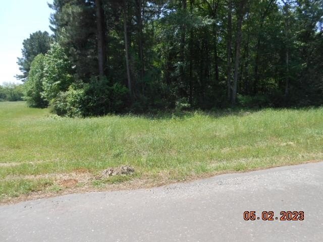 Picture 3