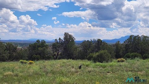 Land, Quemado, NM