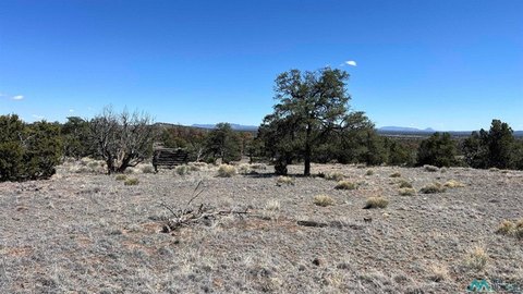 Land, Quemado, NM
