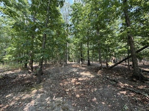 LAND - Bella Vista, AR