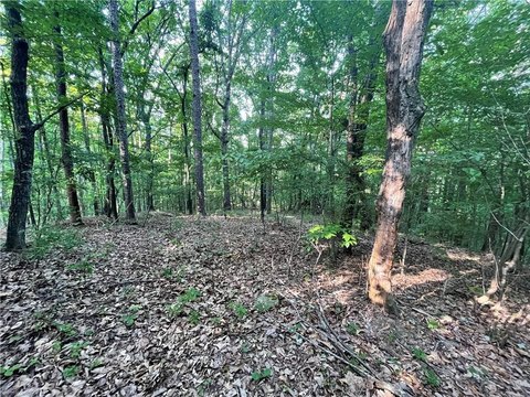 Land, Chickamauga, GA