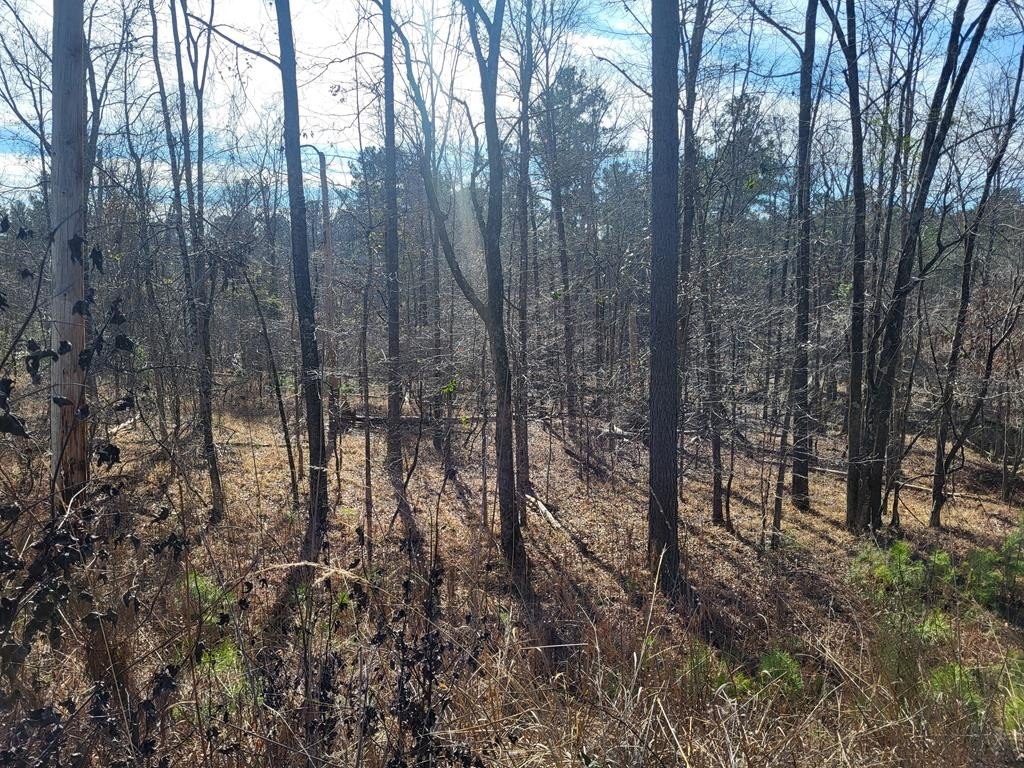 Half Acre Waterfront Land