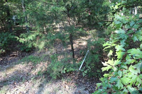 Land, Flippin, AR