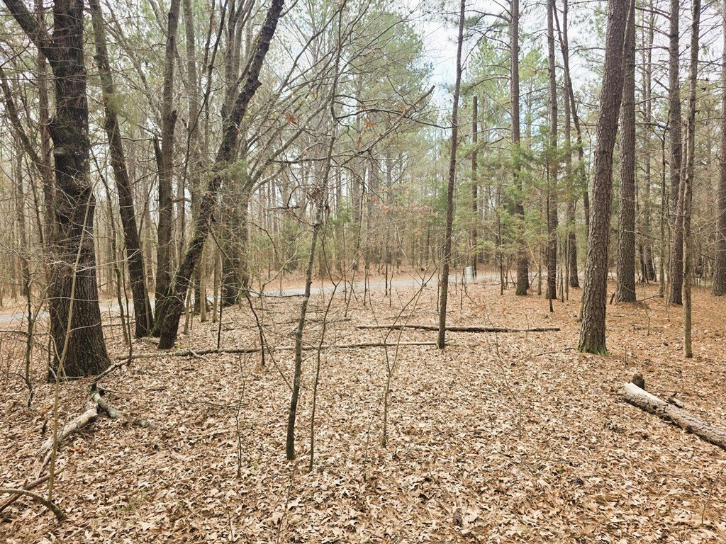 Picture 14