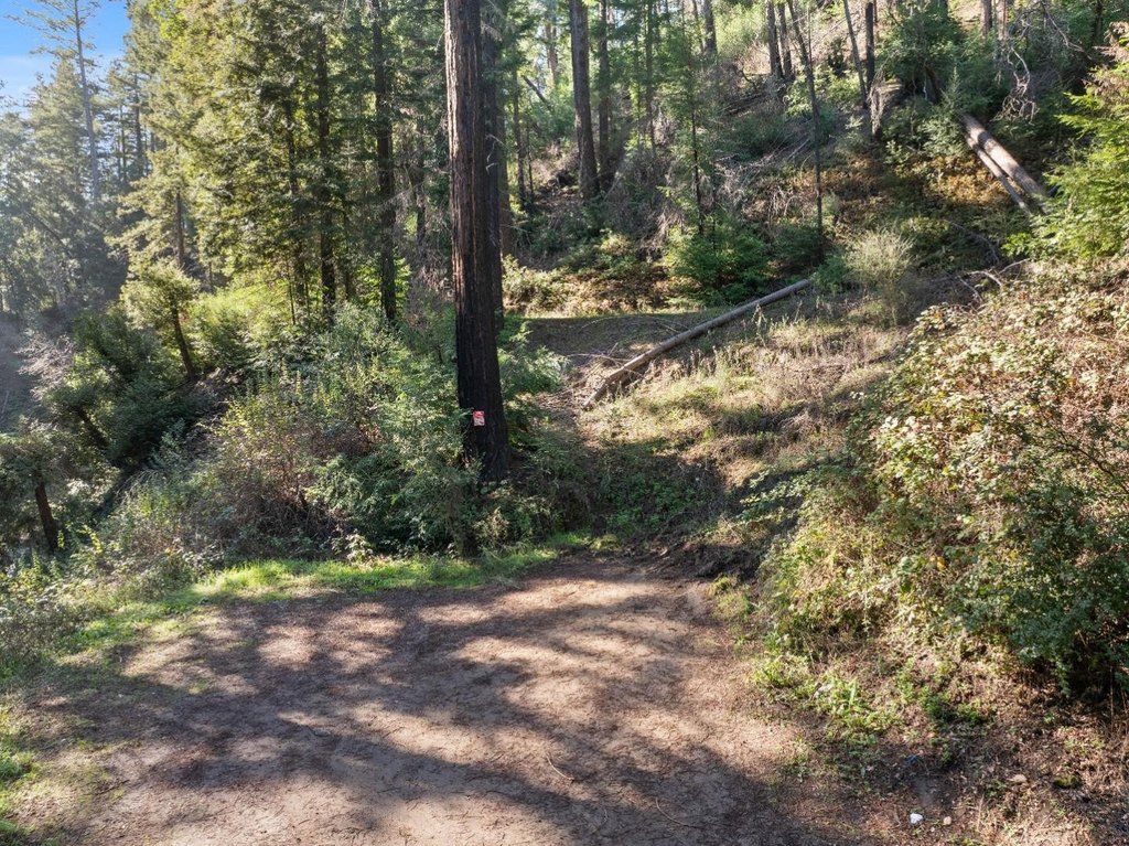 Picture 11