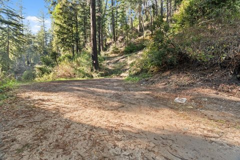 Vacant Land in Boulder Creek