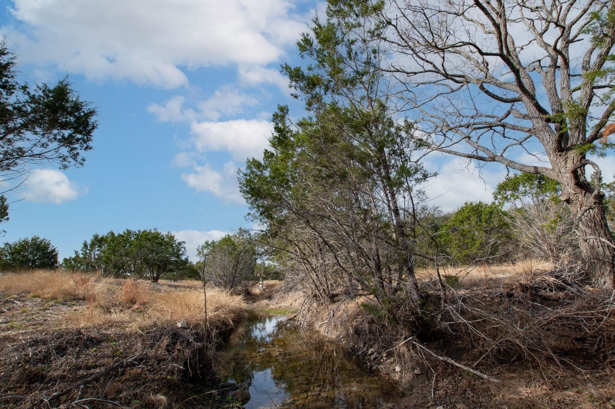 Burnet Oaks Estate Homesite