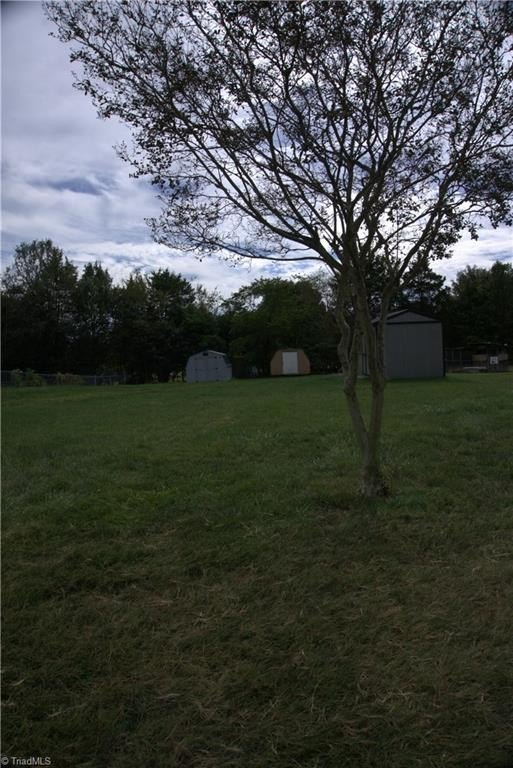 Picture 10
