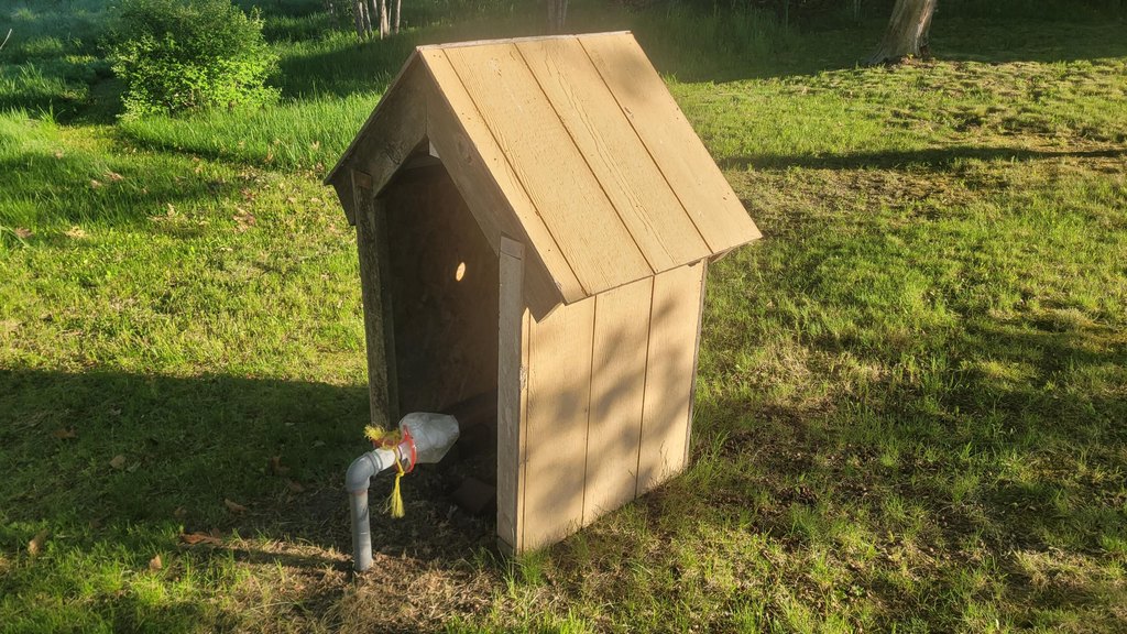 Picture 9