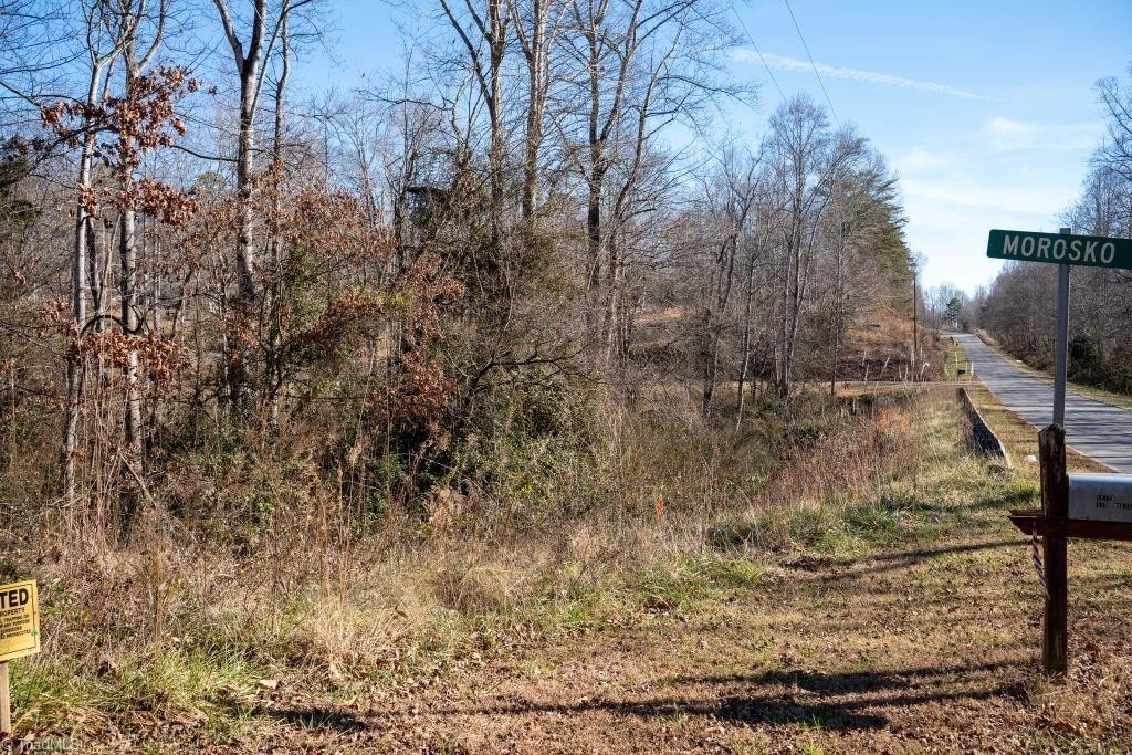 Picture 3