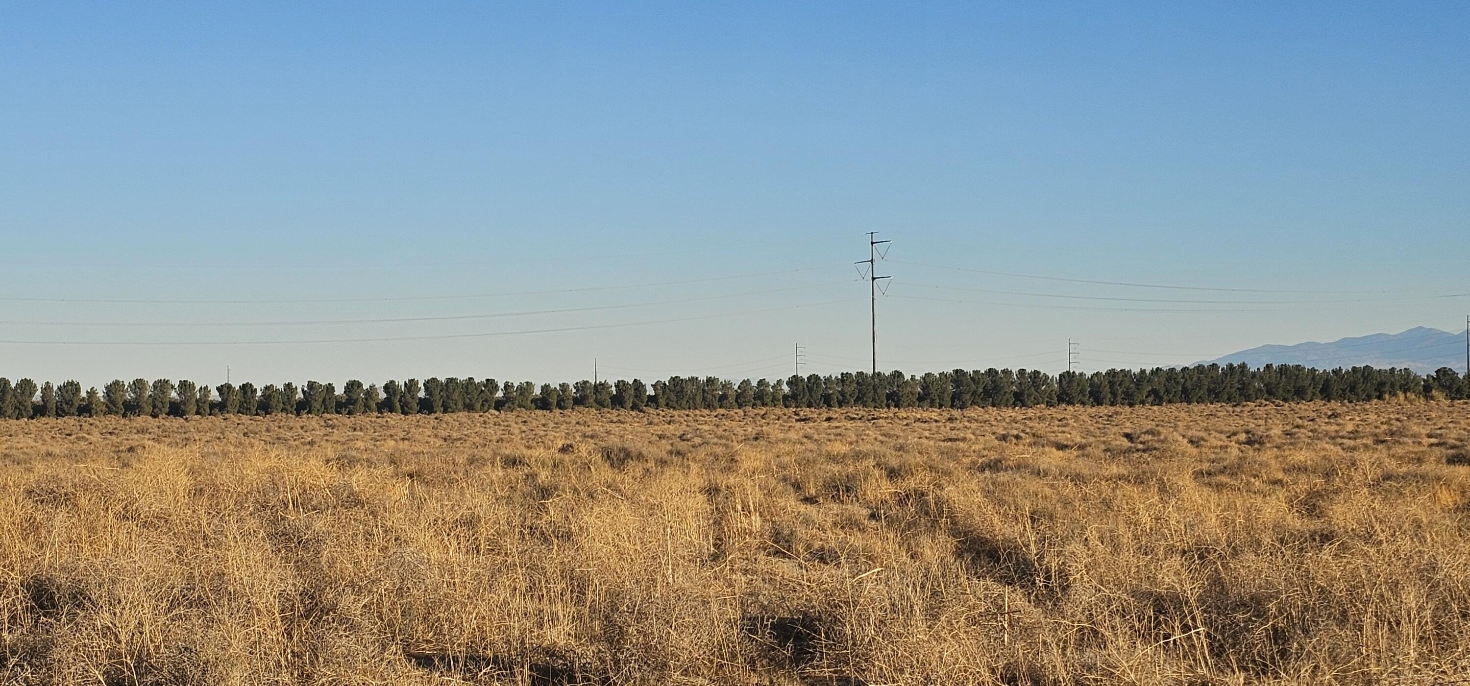 Rosamond, CA Land Investment