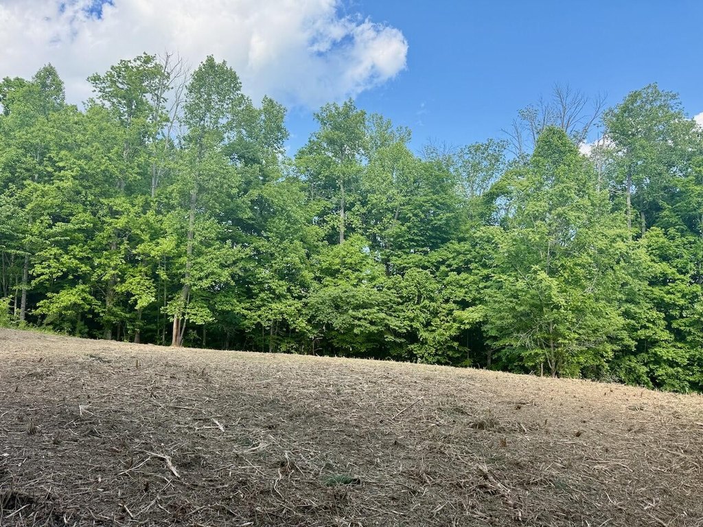 Picture 23