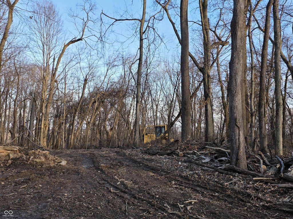 Picture 9